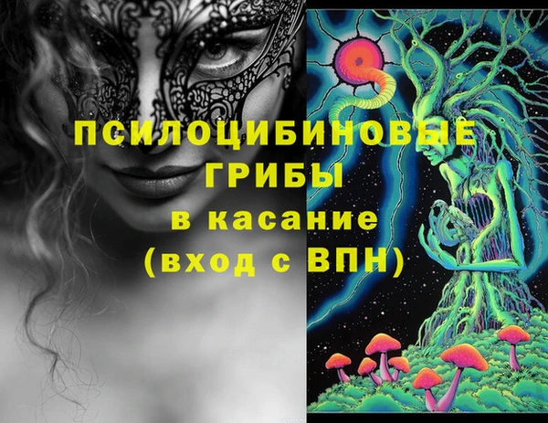 спайс Арсеньев