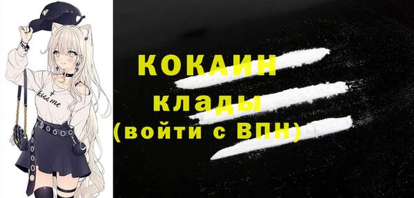 спайс Арсеньев