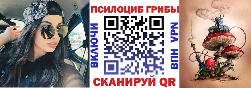 блэк спрут как зайти  Спас-Деменск  Псилоцибиновые грибы мицелий 